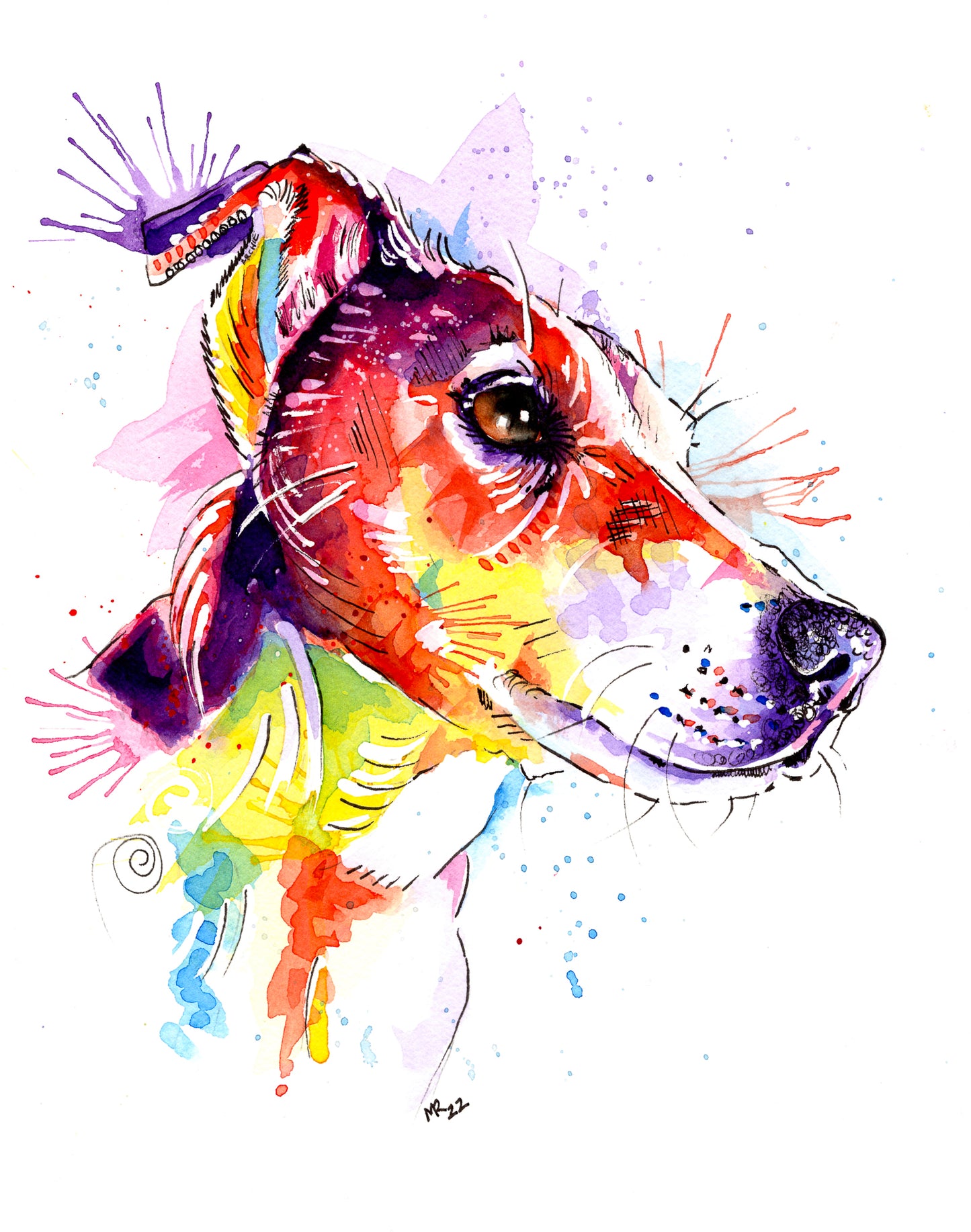 Custom Pet Portraits - Colourful or Realistic