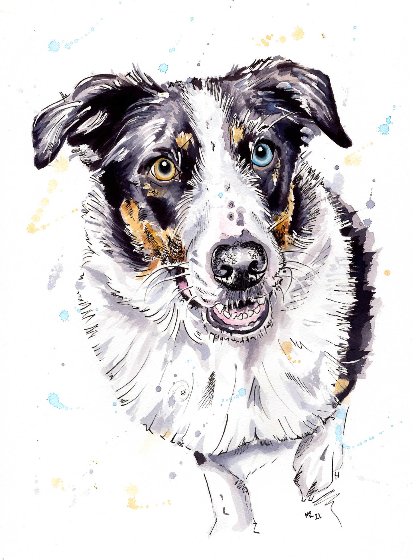 Custom Pet Portraits - Colourful or Realistic