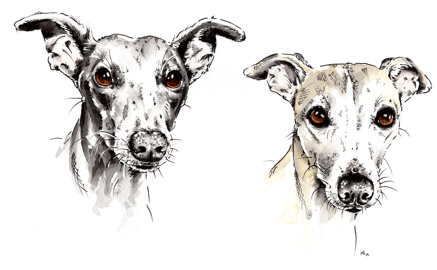 Custom Pet Portraits - Colourful or Realistic