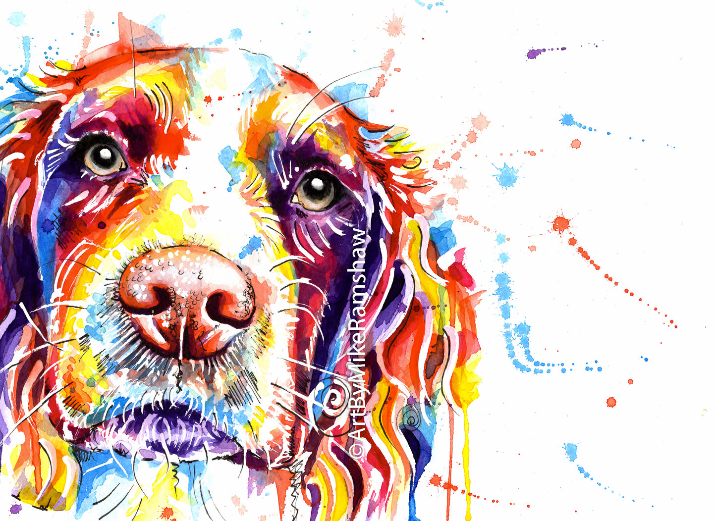 Custom Pet Portraits - Colourful or Realistic