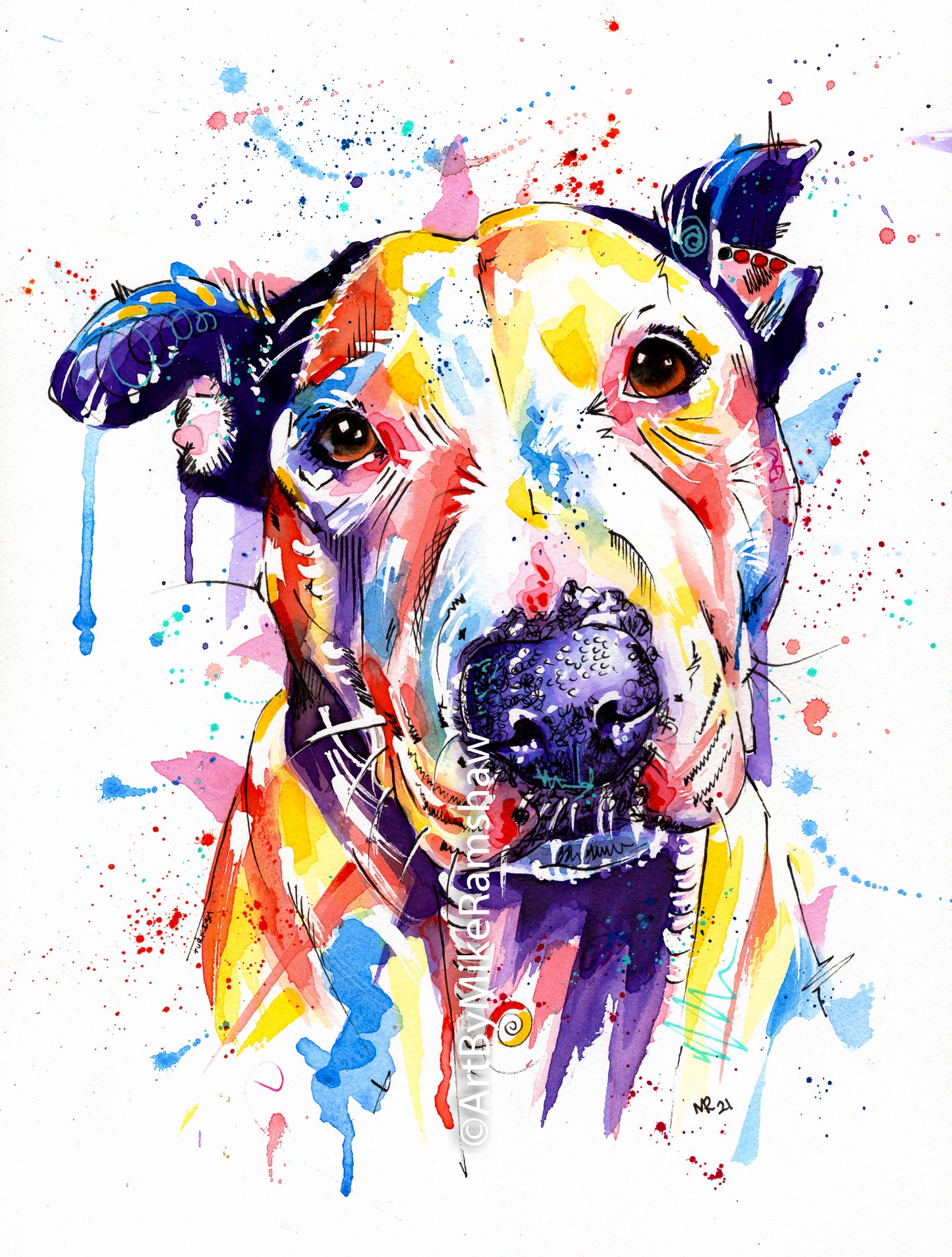 Custom Pet Portraits - Colourful or Realistic