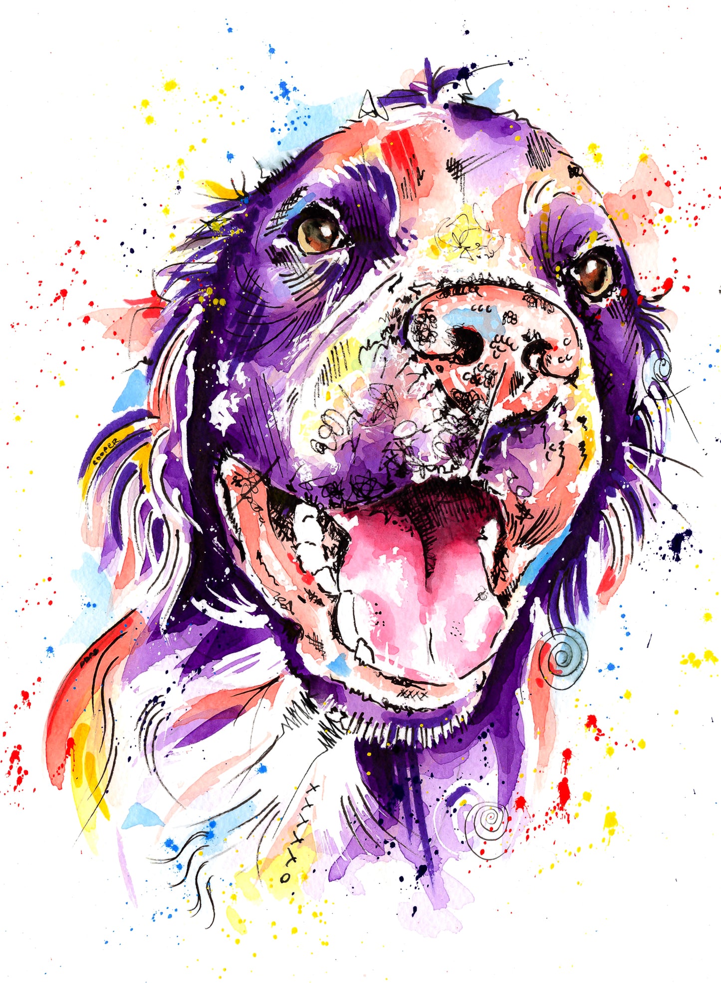 Custom Pet Portraits - Colourful or Realistic