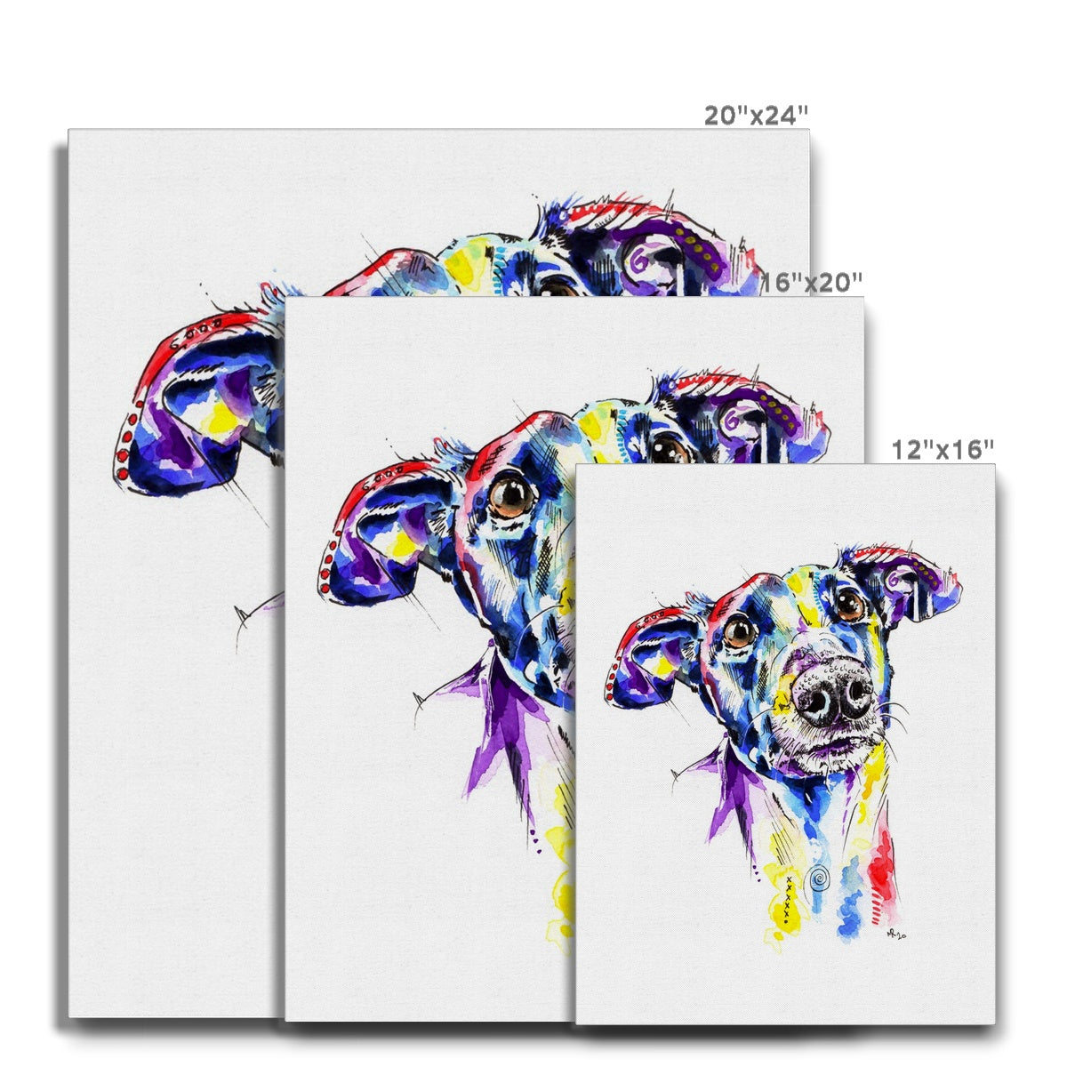 Greyhound Canvas Prints Size Guide