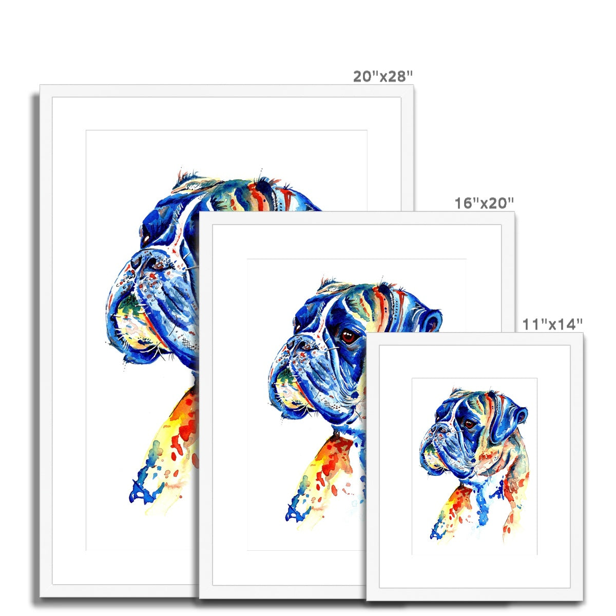 French Bulldog Framed & Mounted Art Print