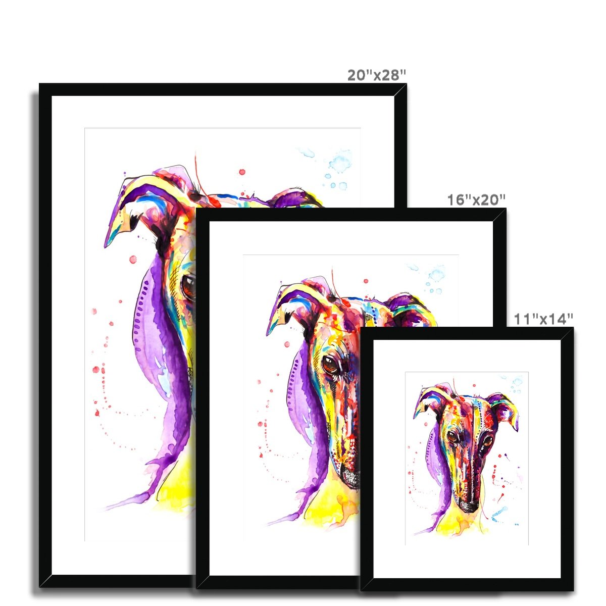 Greyhound Framed & Mounted Art Print