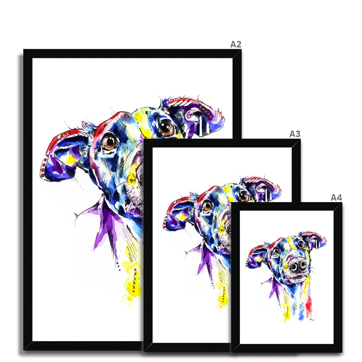Greyhound Framed Art