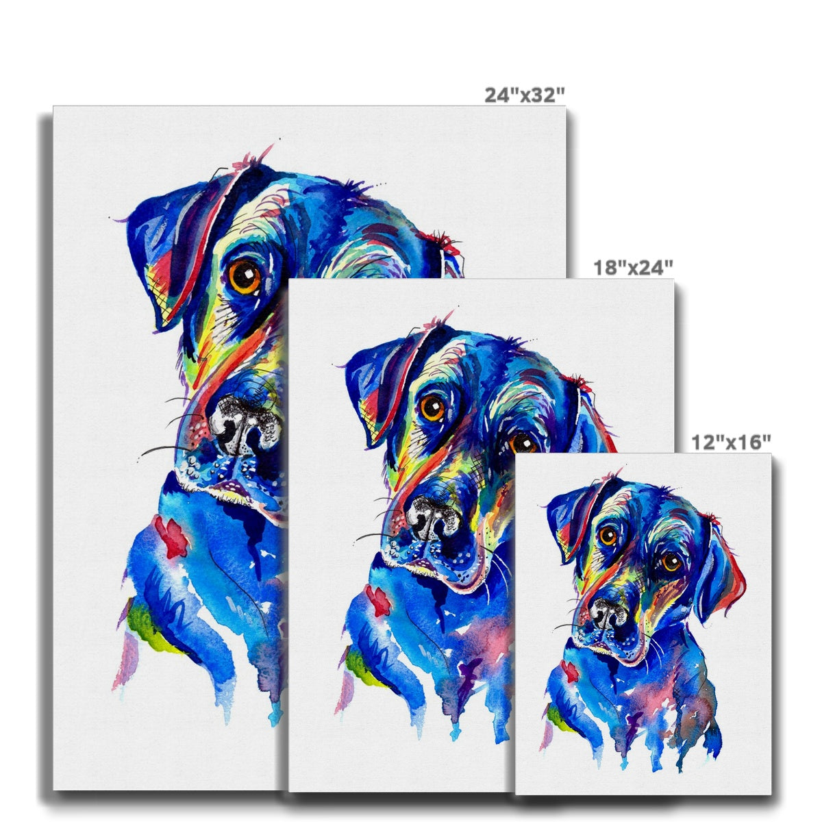 Labrador Canvas art
