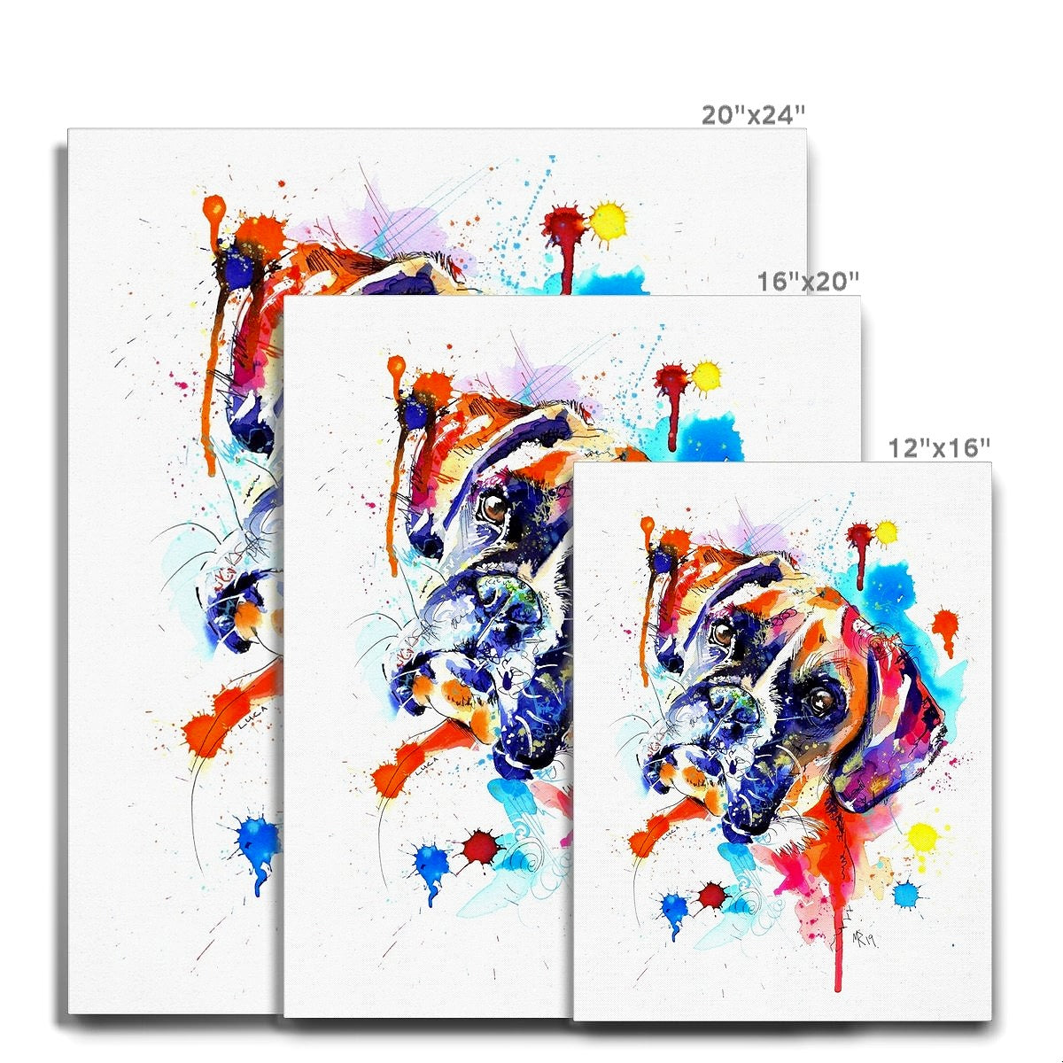 Boxer Dog Canvas Prints
