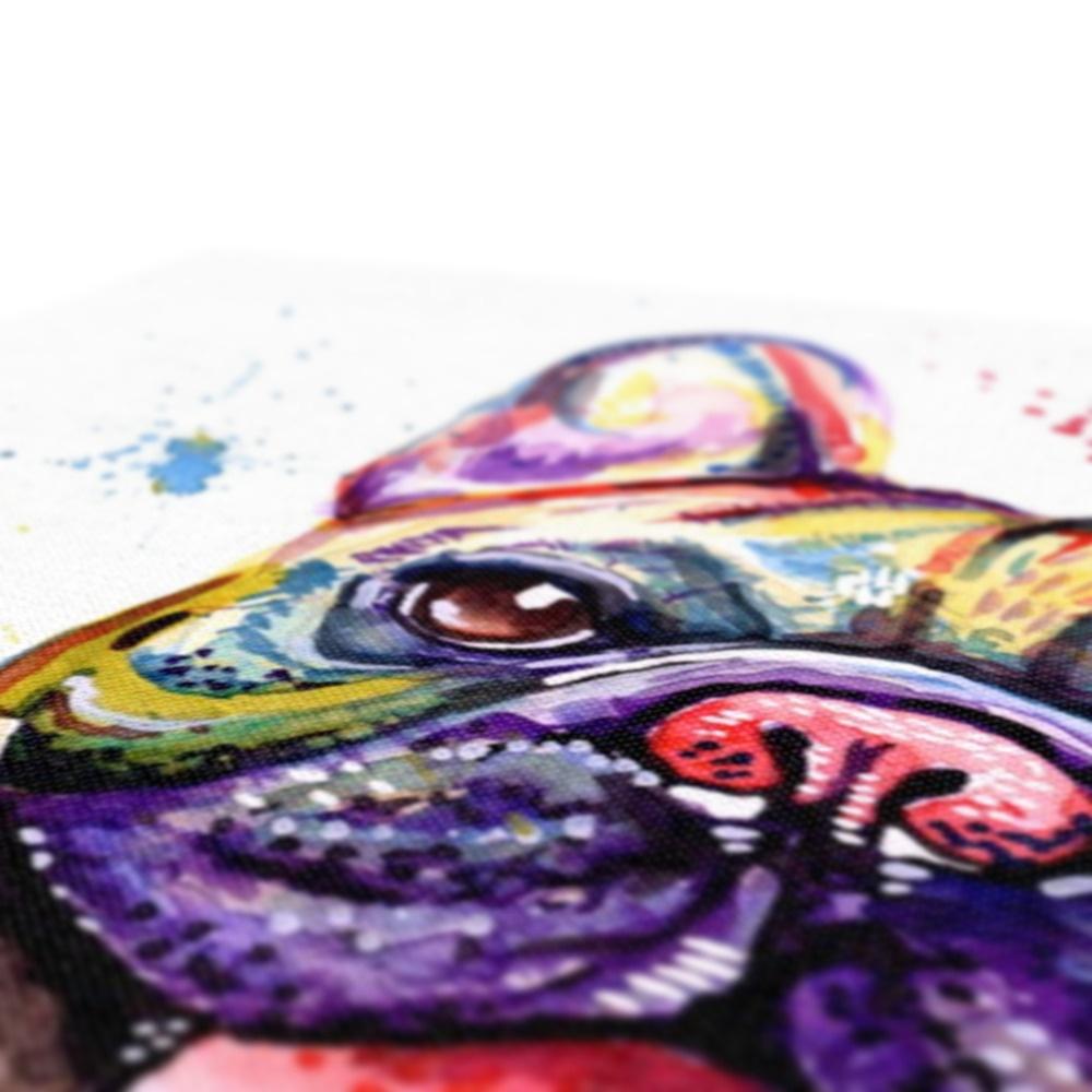 French Bulldog Canvasses close up