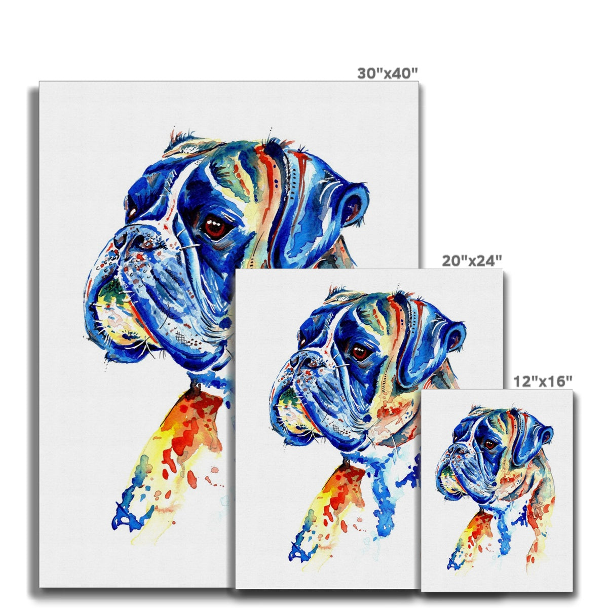 Boxer Dog Canvas Prints
