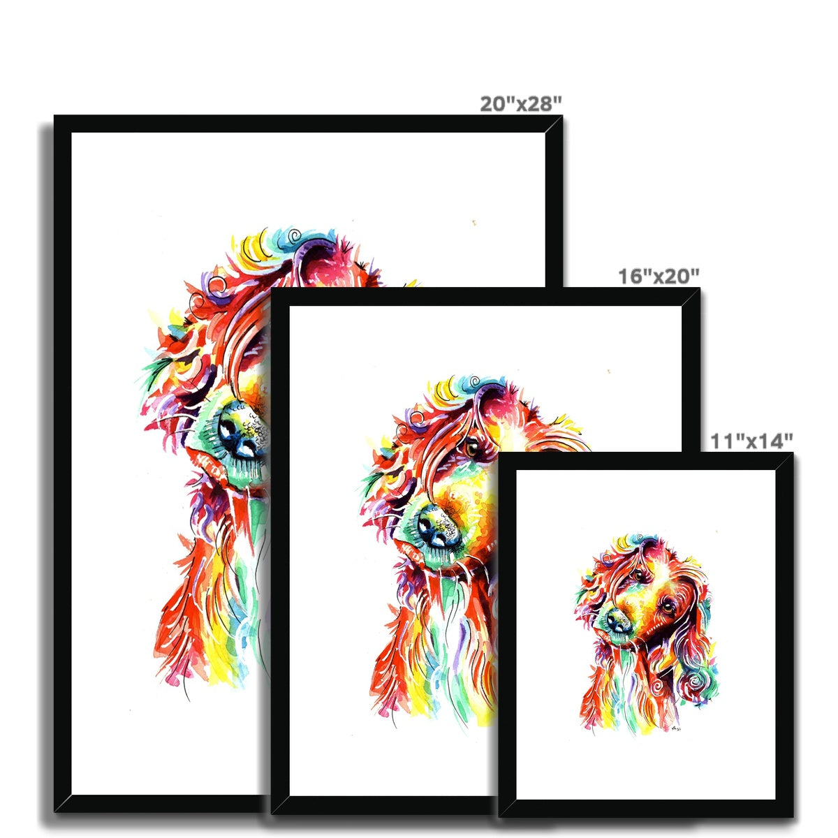 Cocker Spaniel Framed Art Print