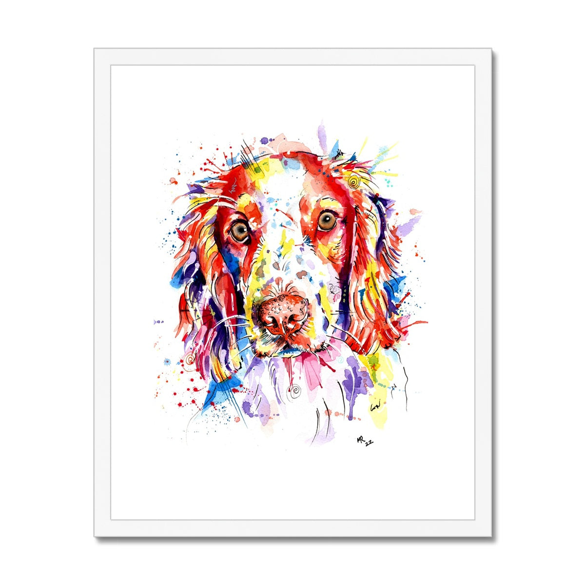 Springer Spaniel Framed Art Print