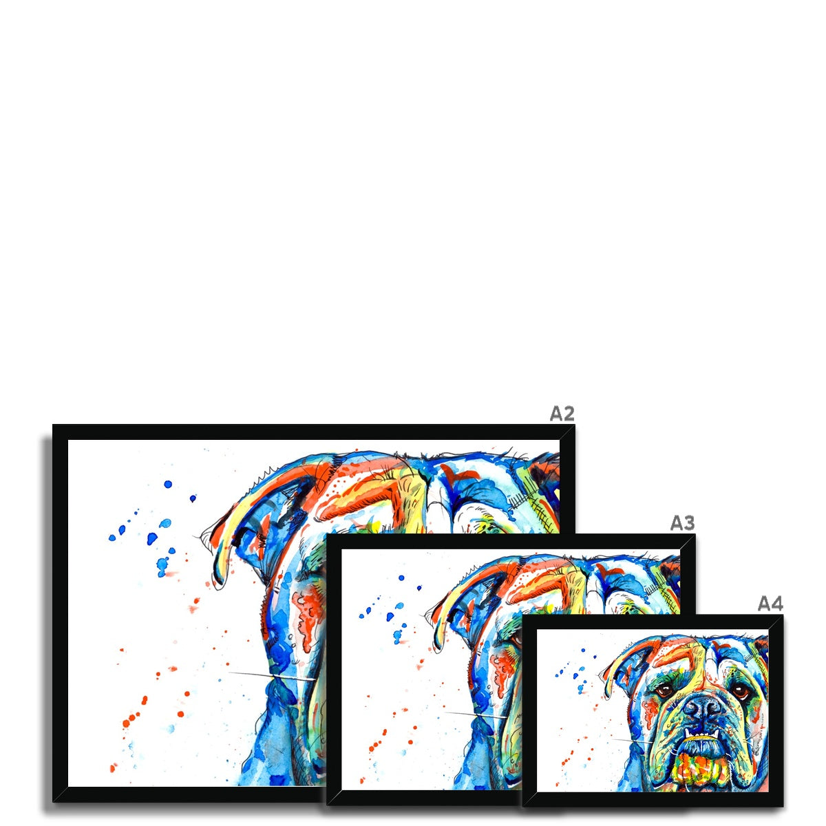 British Bulldog Framed Print Artwork