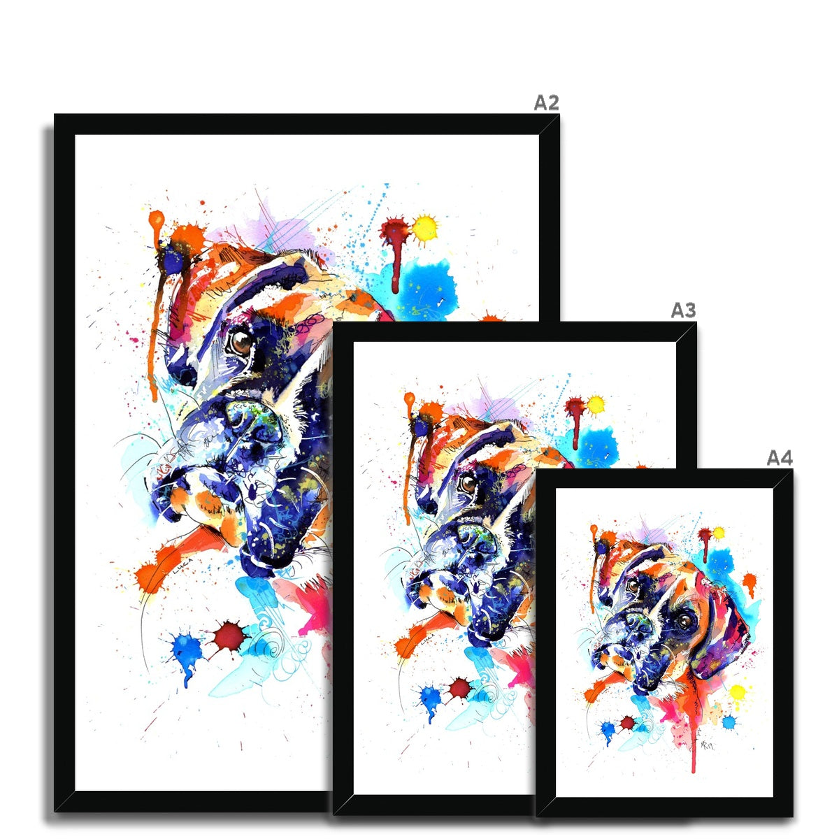Boxer Dog Framed Prints - 'Luca'