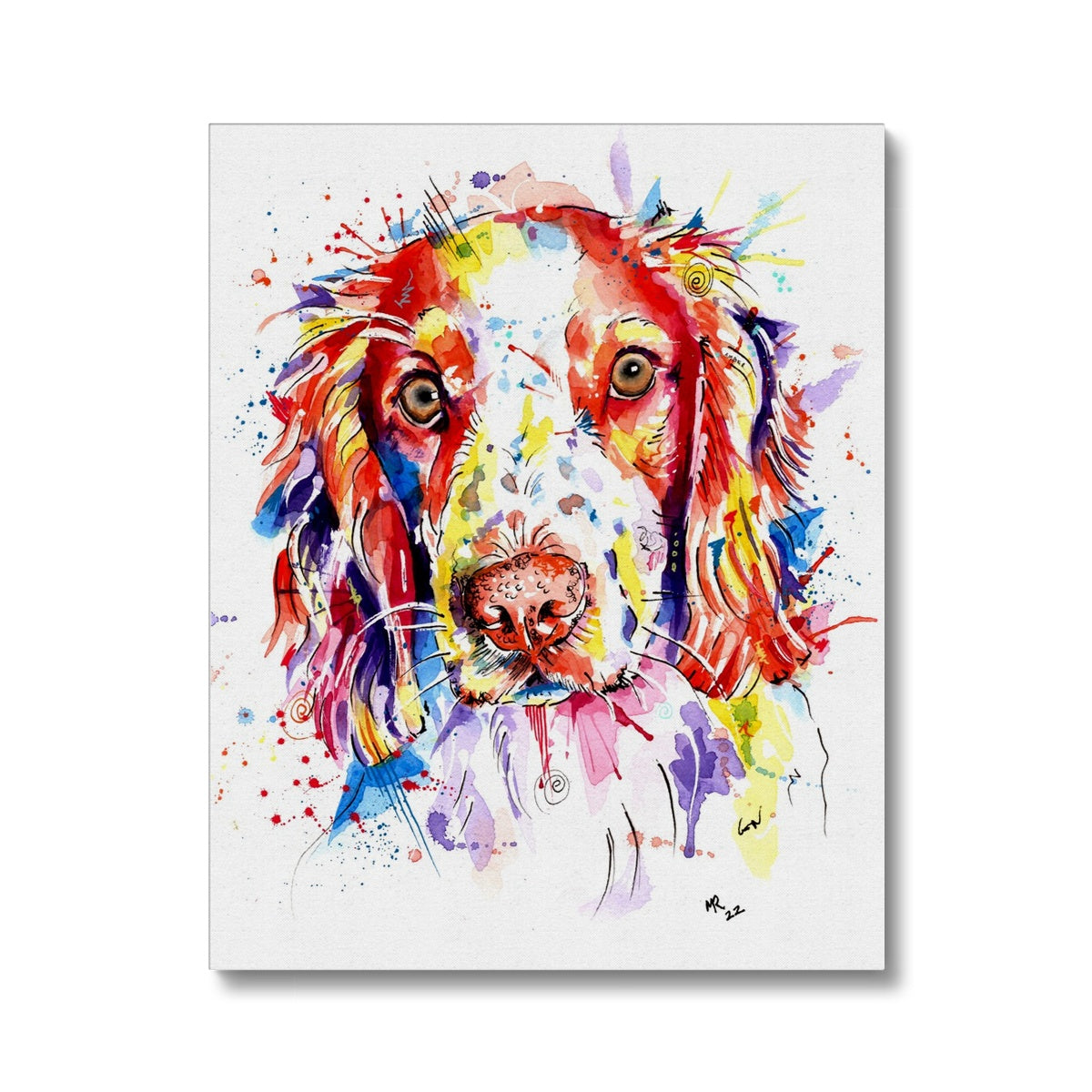 Springer Spaniel Canvas Prints