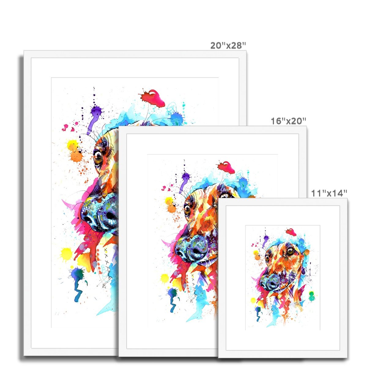 Greyhound Framed & Mounted Art Print