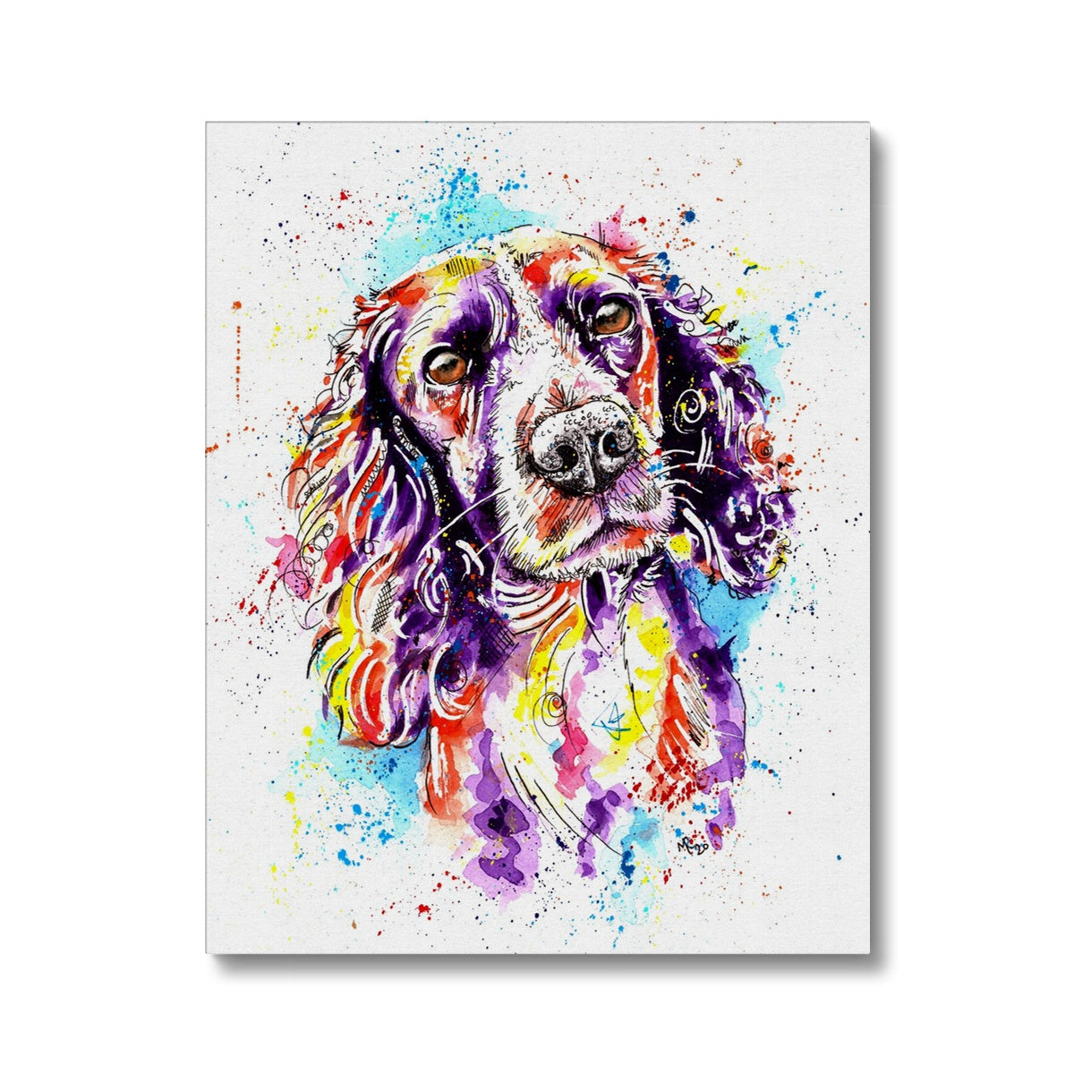Springer Spaniel Art Prints
