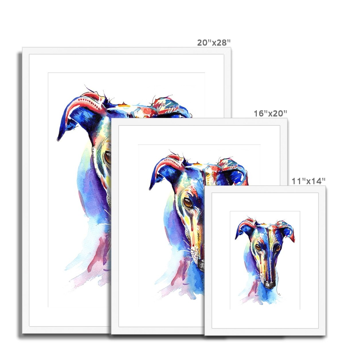 Greyhound Framed & Mounted Print