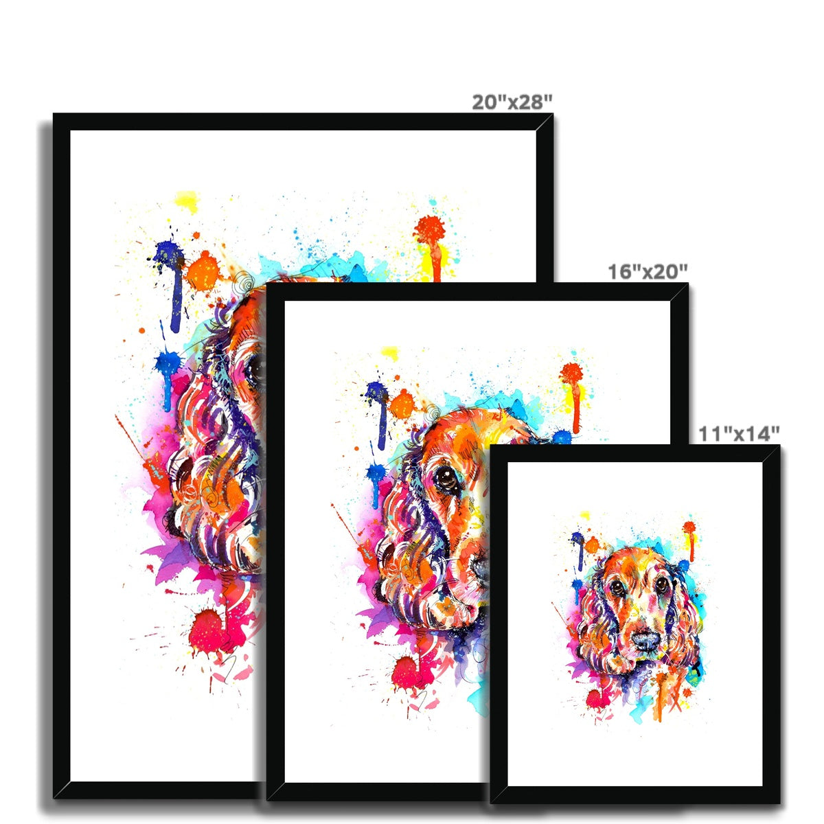 Cocker Spaniel Framed Art Print