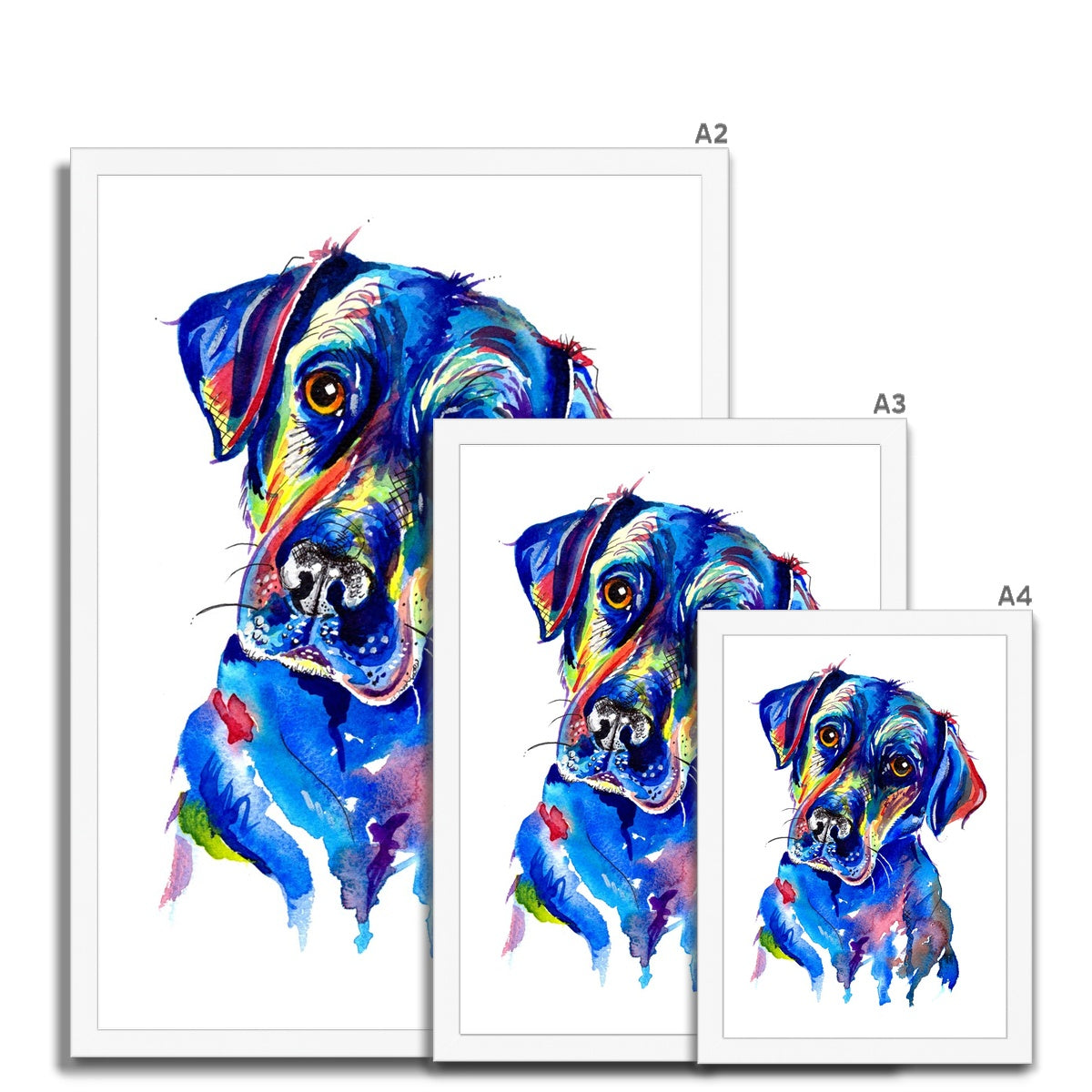 Labrador Retriever Framed Print