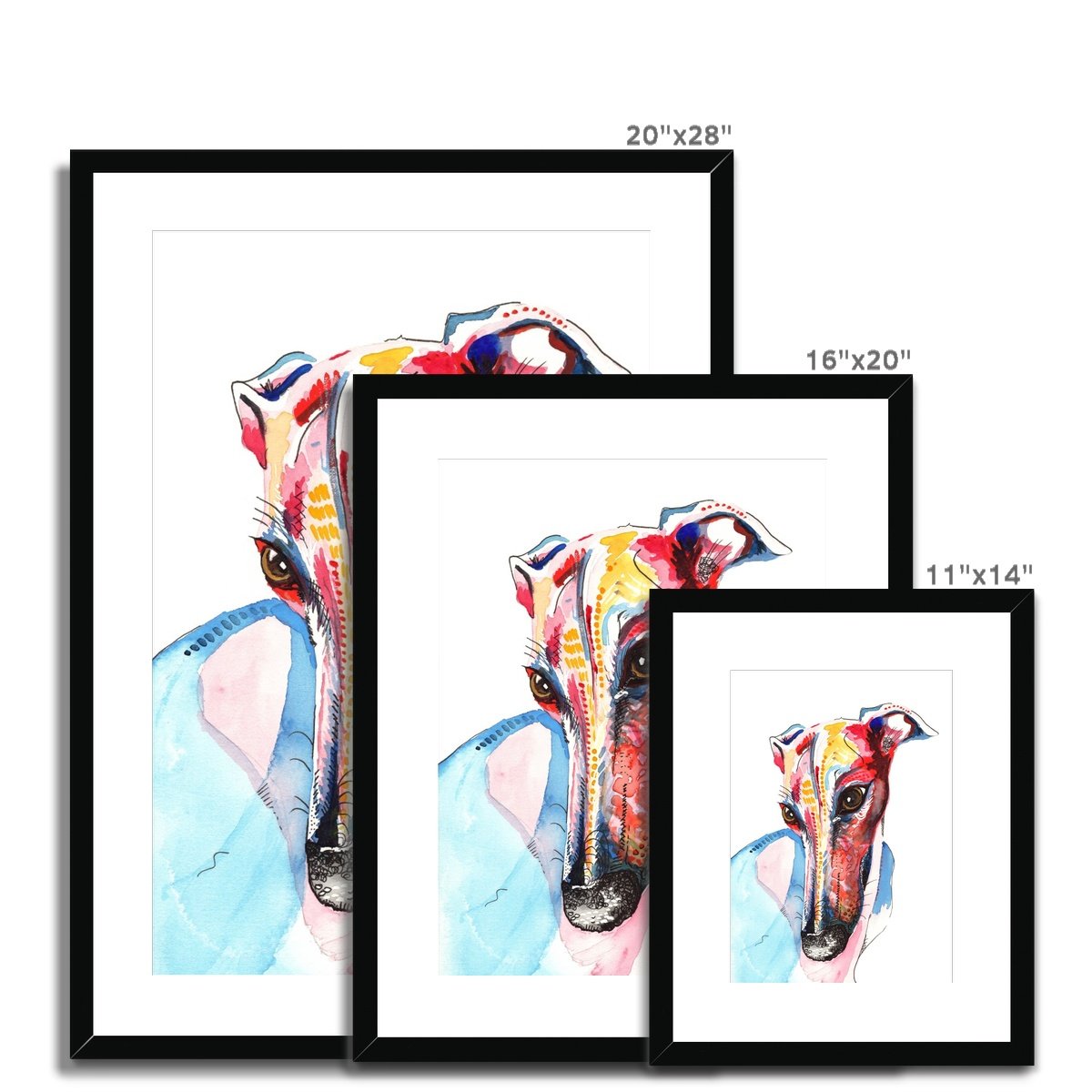 Greyhound Framed & Mounted Art Print