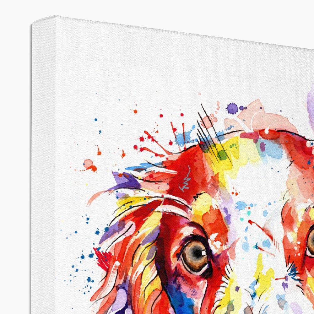 Springer Spaniel Canvas Prints