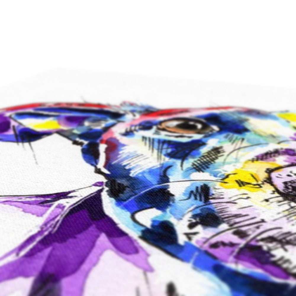 Greyhound Canvas Prints Close Up