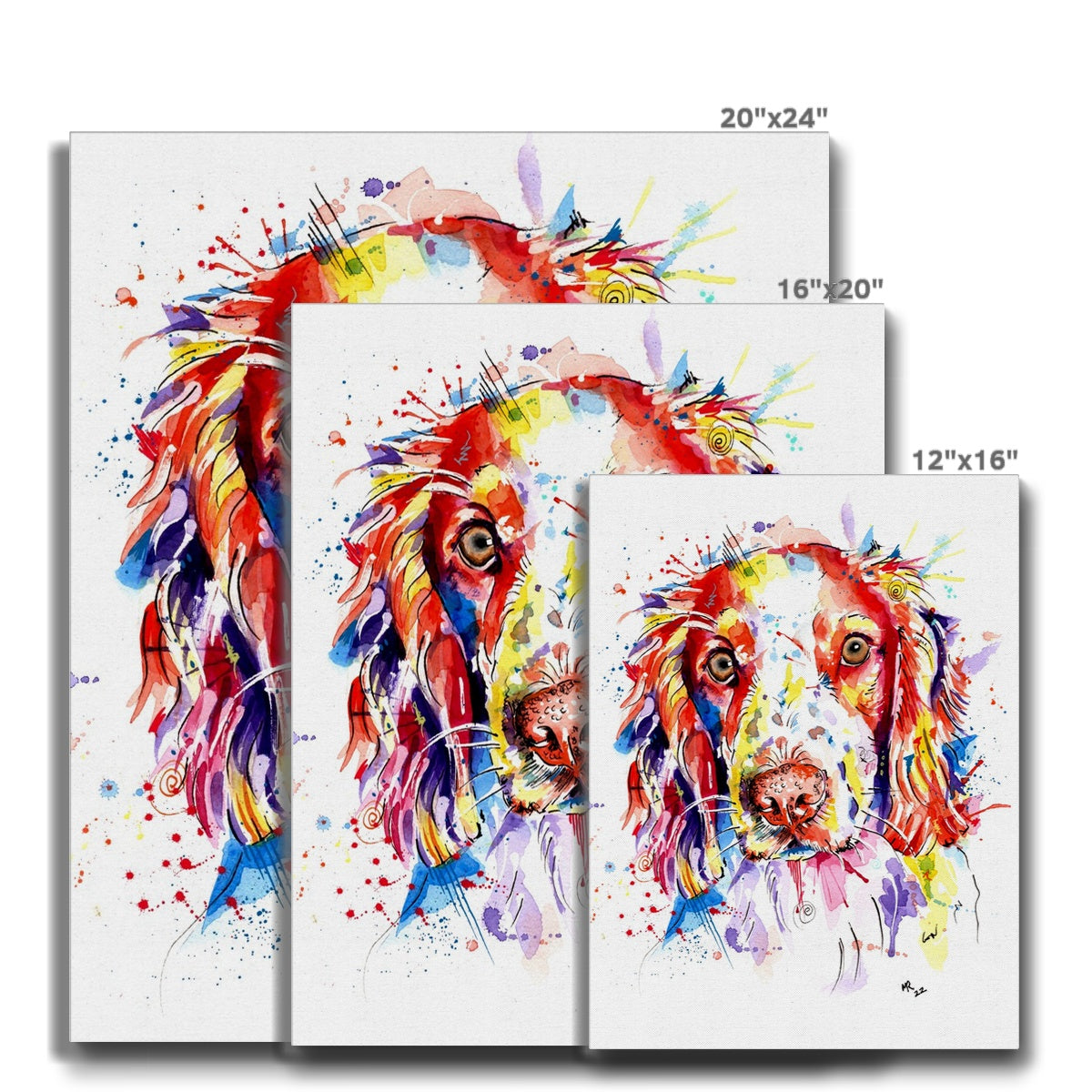 Springer Spaniel Canvas Prints