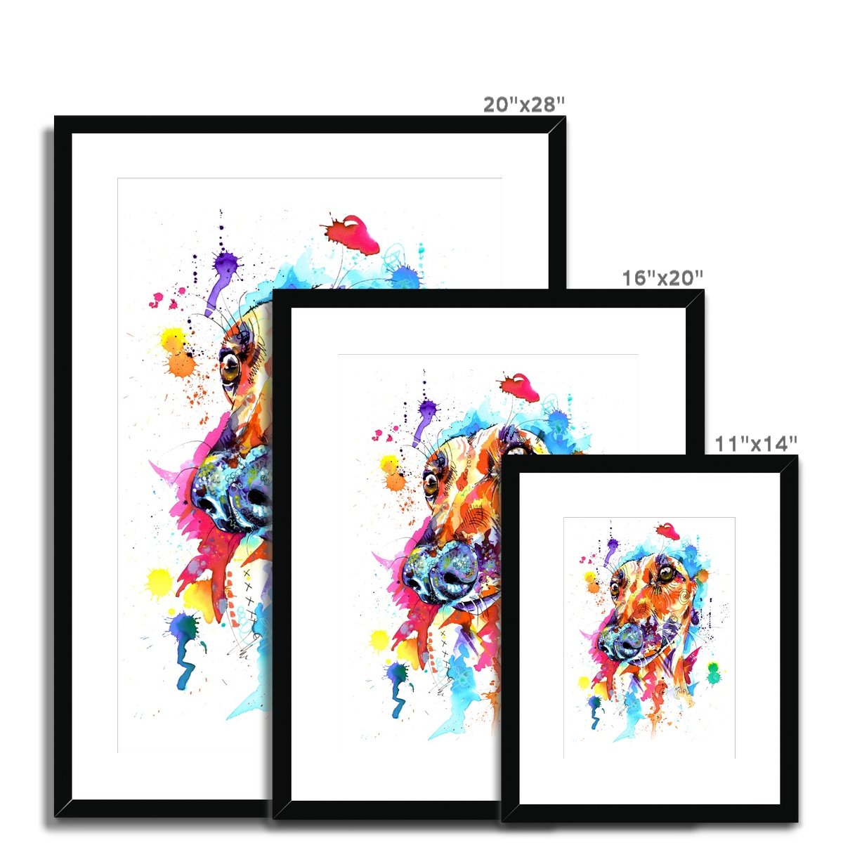 Greyhound Framed & Mounted Art Print