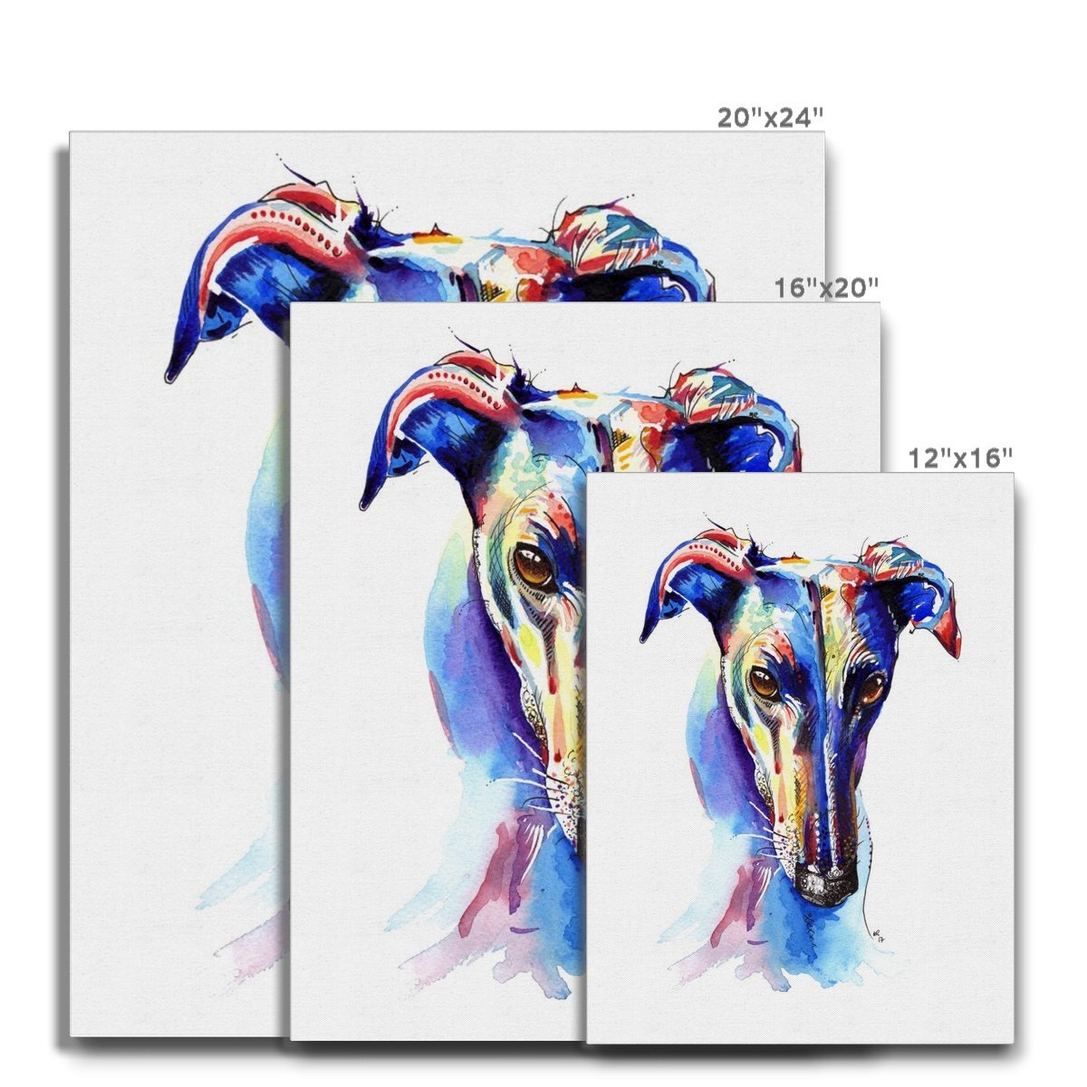 Greyhound Canvas Print various sizes