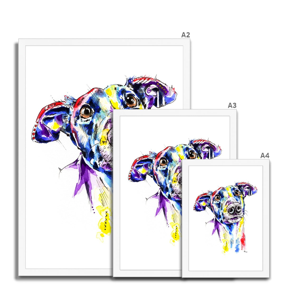 Greyhound Framed Artwork