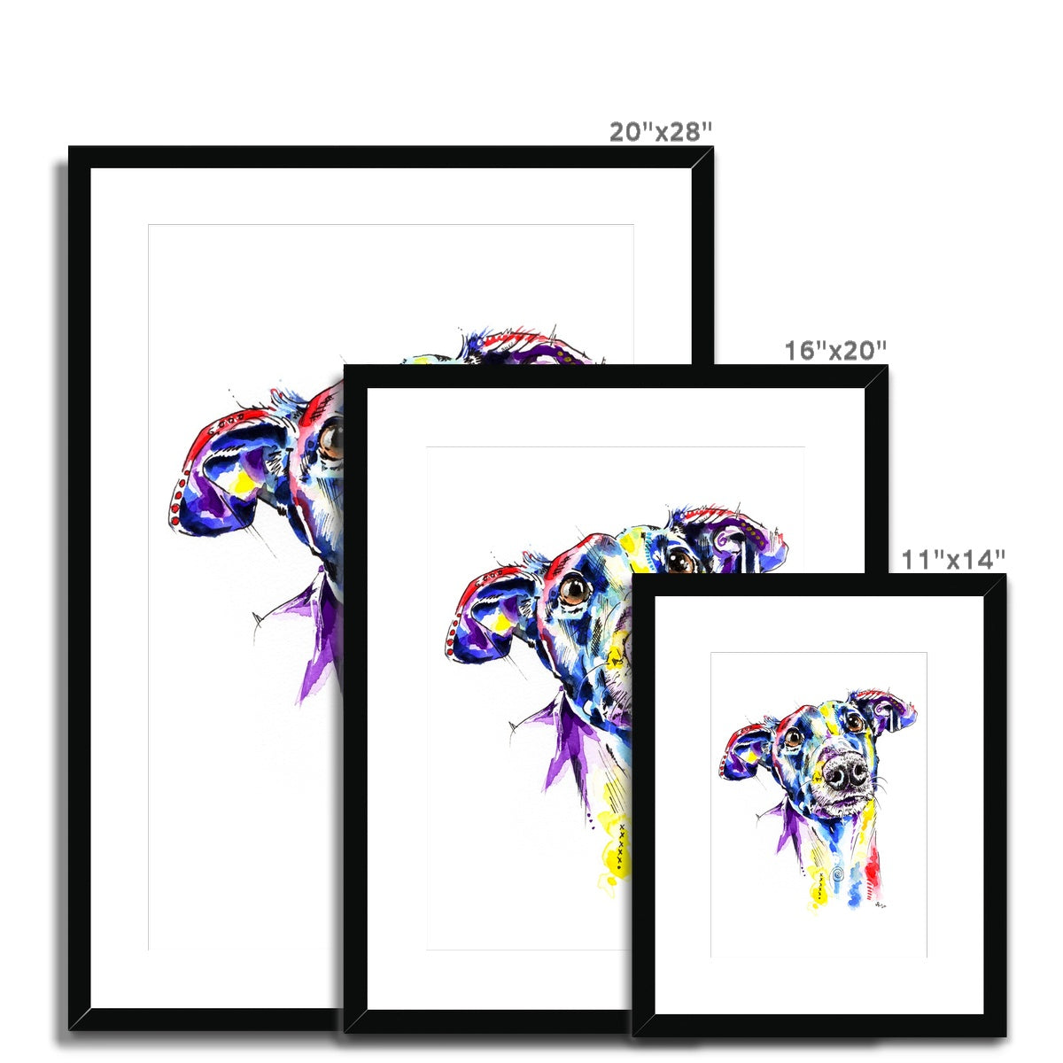 Greyhound Framed & Mounted Print