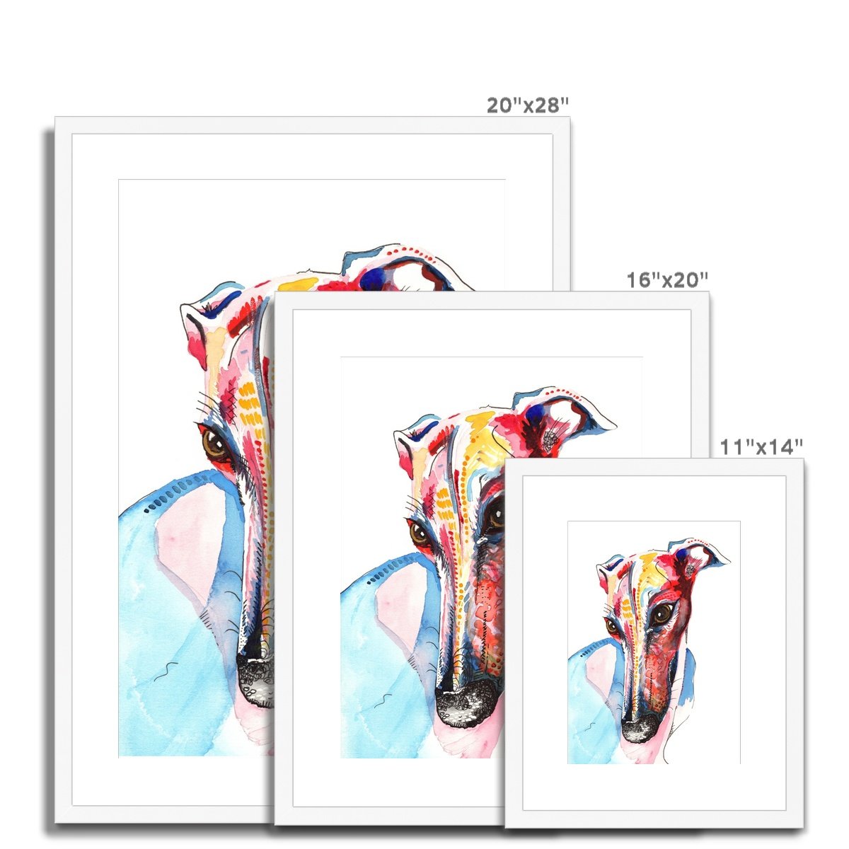 Greyhound Framed & Mounted Art Print
