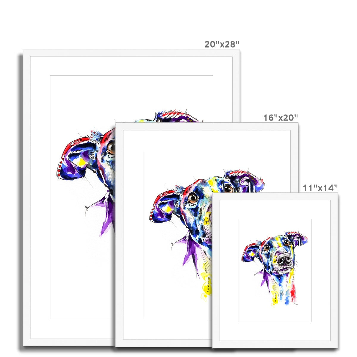 Greyhound Framed & Mounted Print