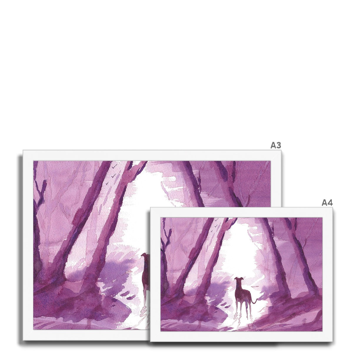 Greyhound Framed Art