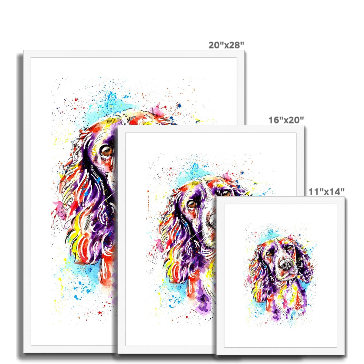 Springer Spaniel Framed Art Print