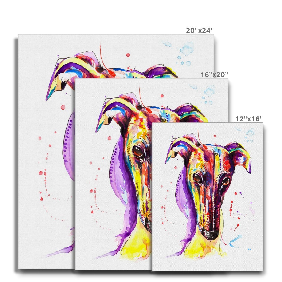 greyhound canvas prints size guide