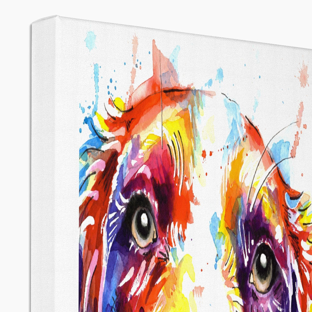Springer Spaniel Canvas Prints
