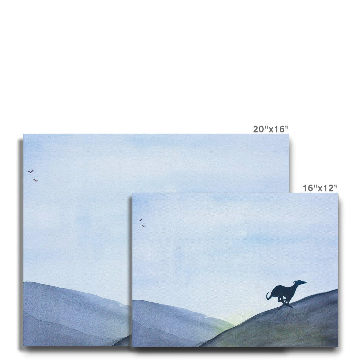 Greyhound Canvas Prints Size Guide
