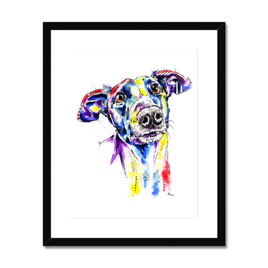 Greyhound Framed & Mounted Print