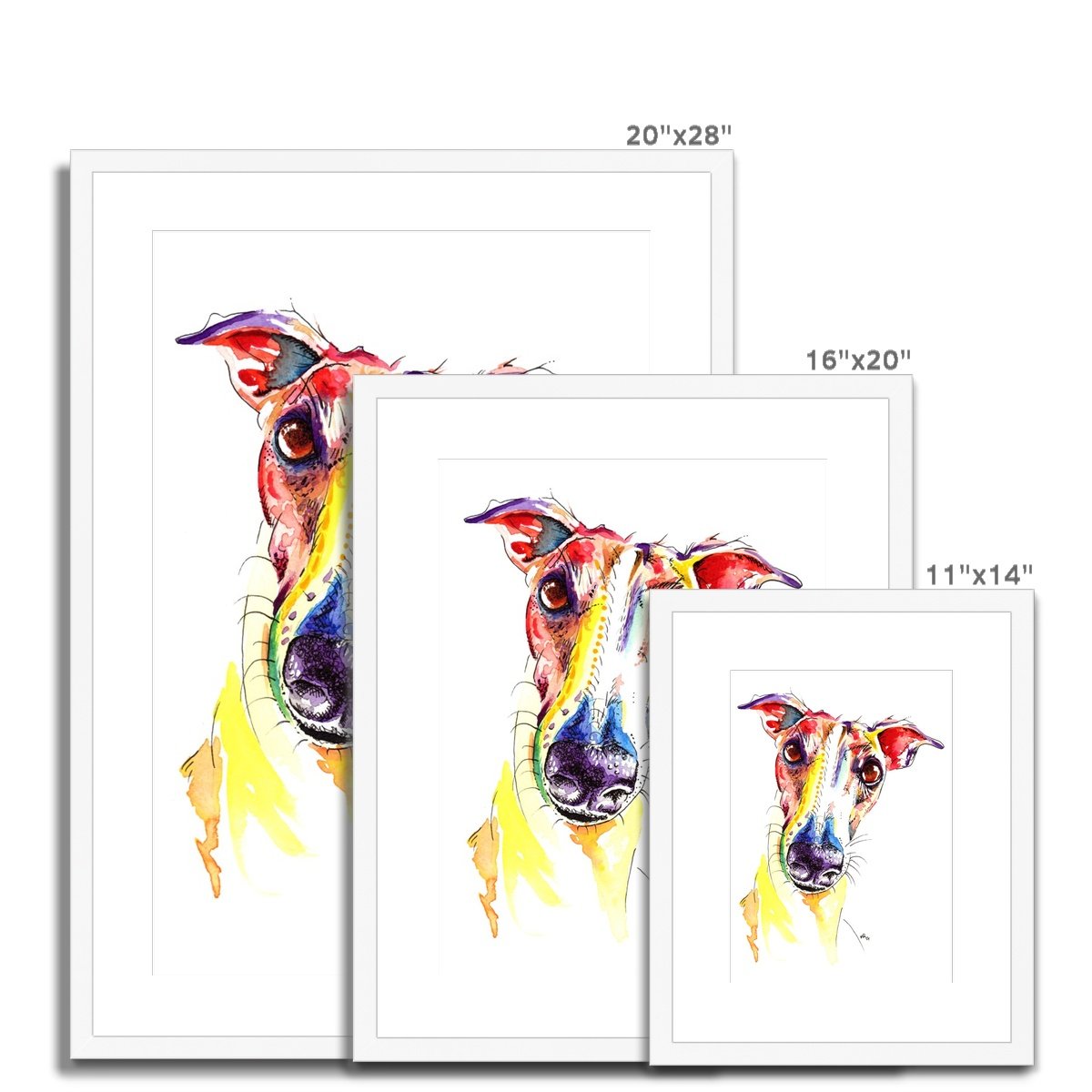 Greyhound Framed & Mounted Print