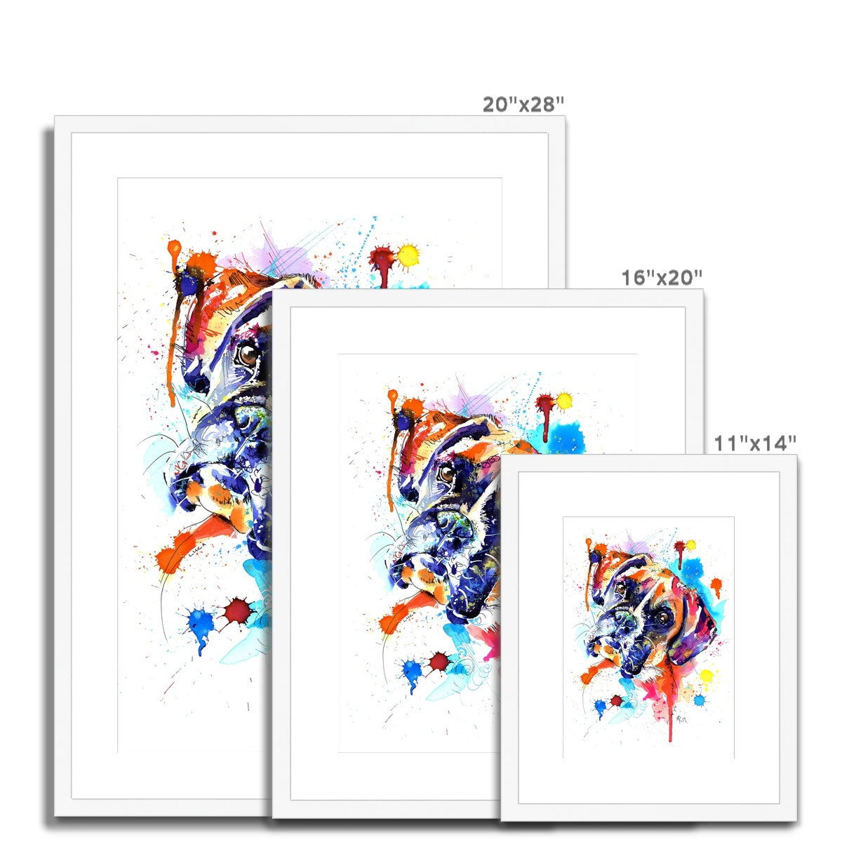 Boxer Dog Framed & Mounted Art Print