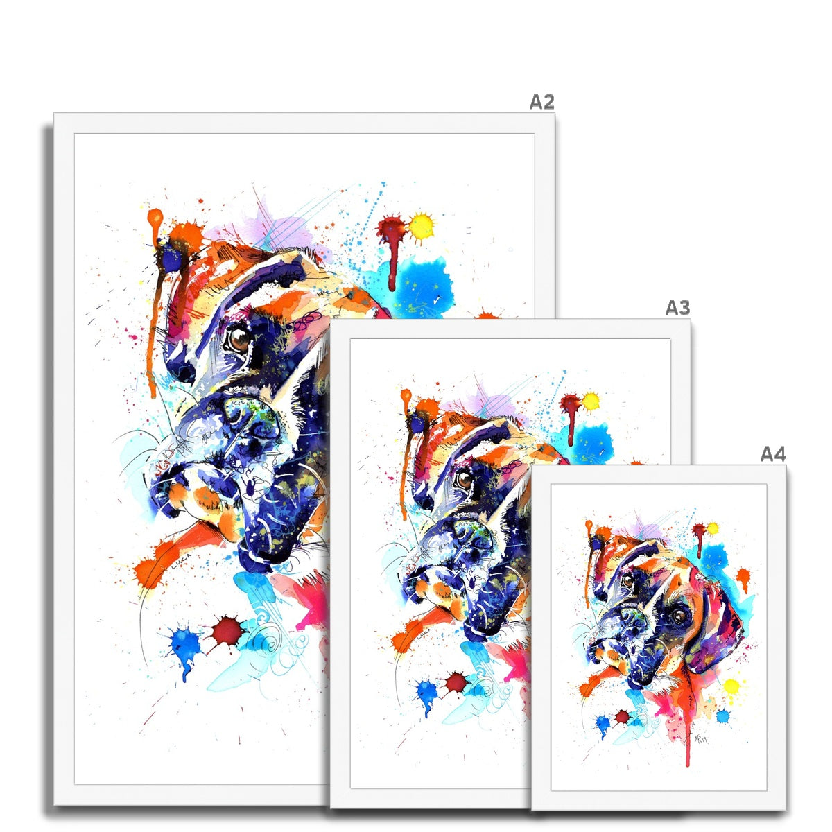 Boxer Dog Framed Prints - 'Luca'