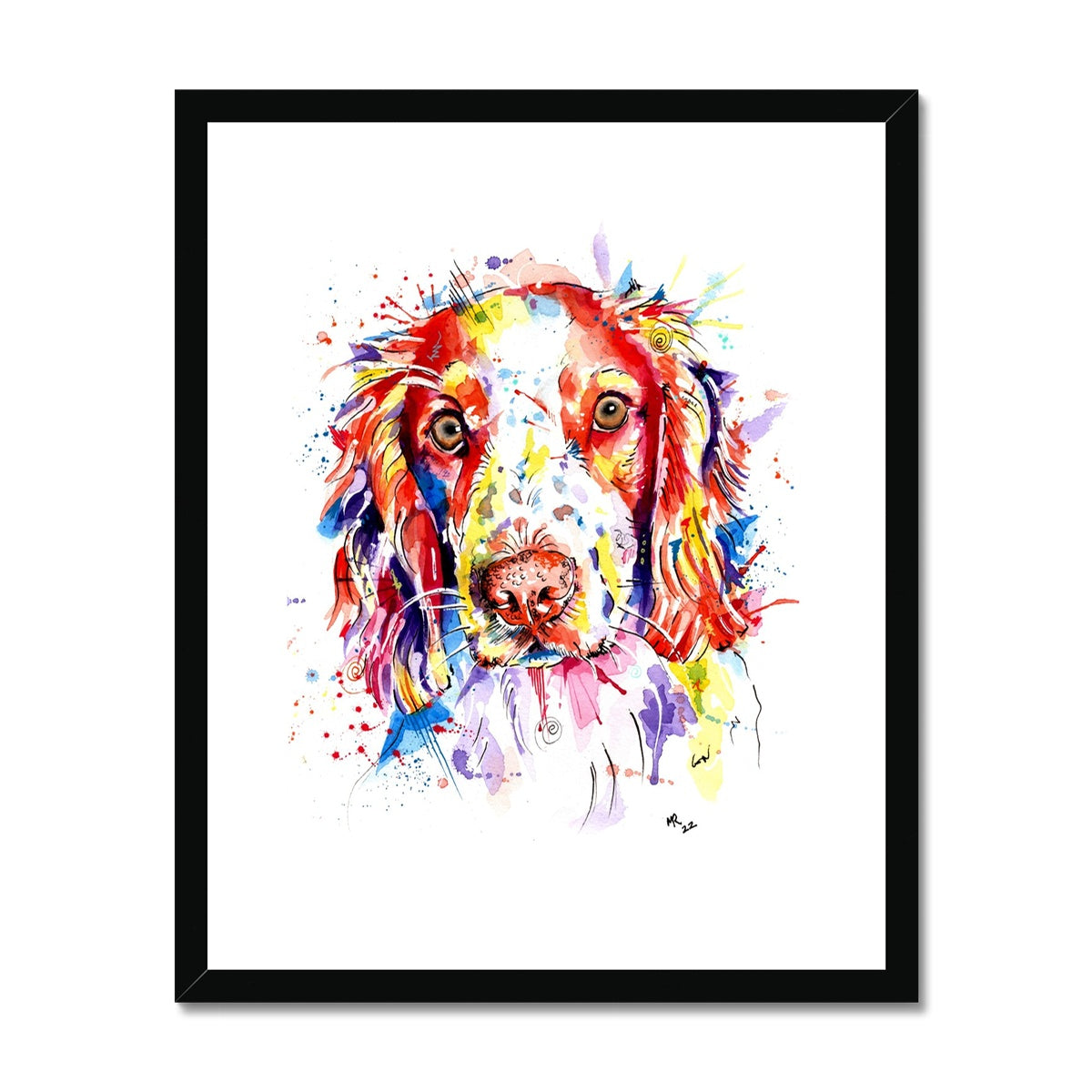 Springer Spaniel Framed Art Print