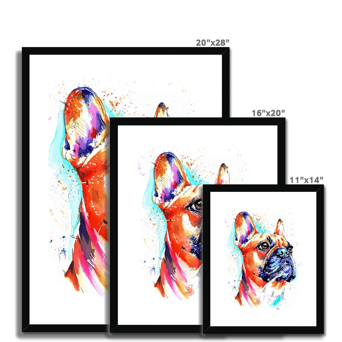 Framed & Mounted Print