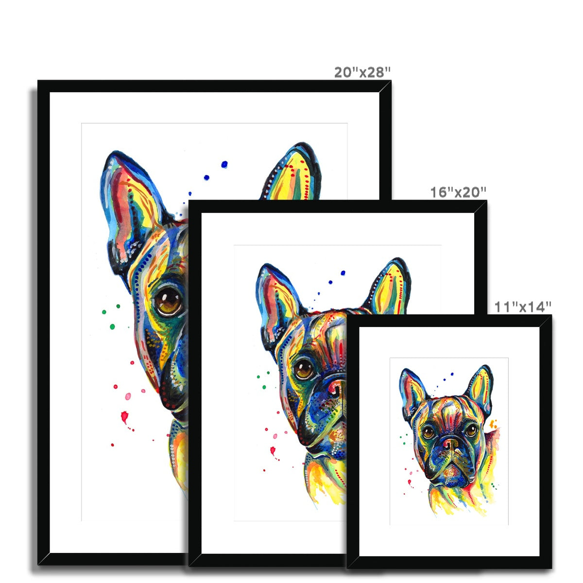 French Bulldog Framed & Mounted Art Print