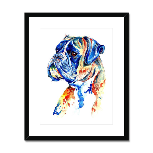 French Bulldog Framed & Mounted Art Print