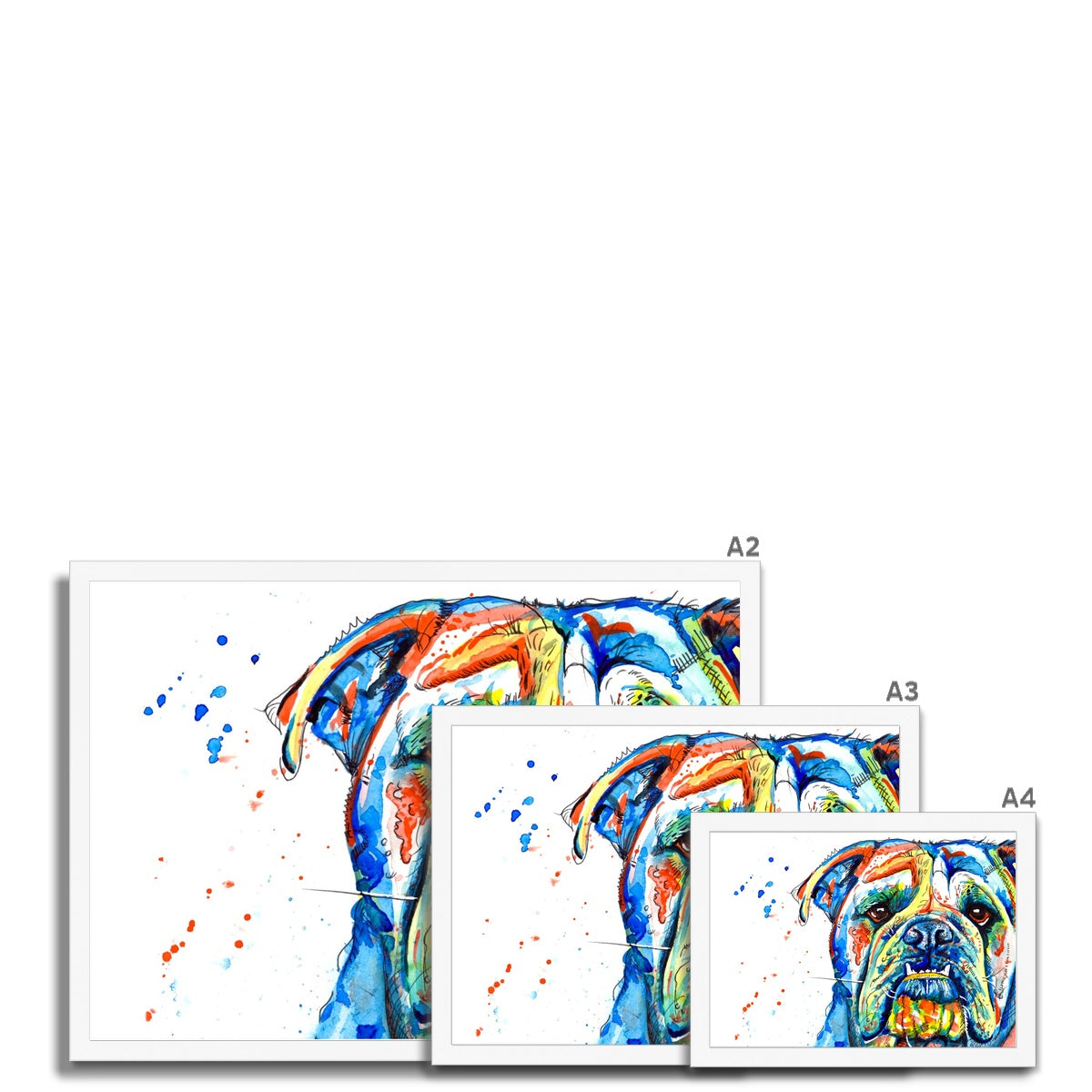 British Bulldog Framed Print Gifts