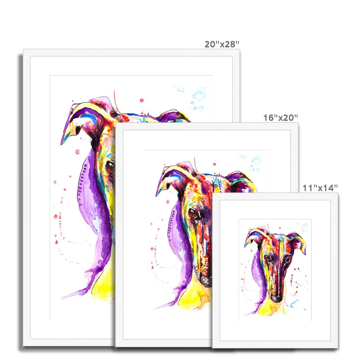 Greyhound Framed & Mounted Art Print