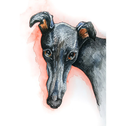 Whippet Art Print, Whippet Gifts